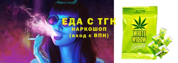 spice Новодвинск