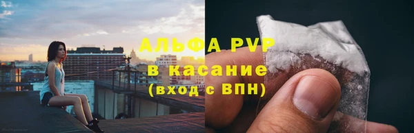 spice Новодвинск