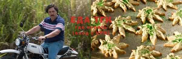 хмурый Гатчина